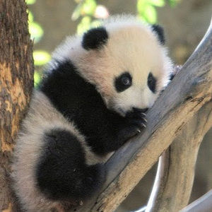 Meet your Posher, Angelina